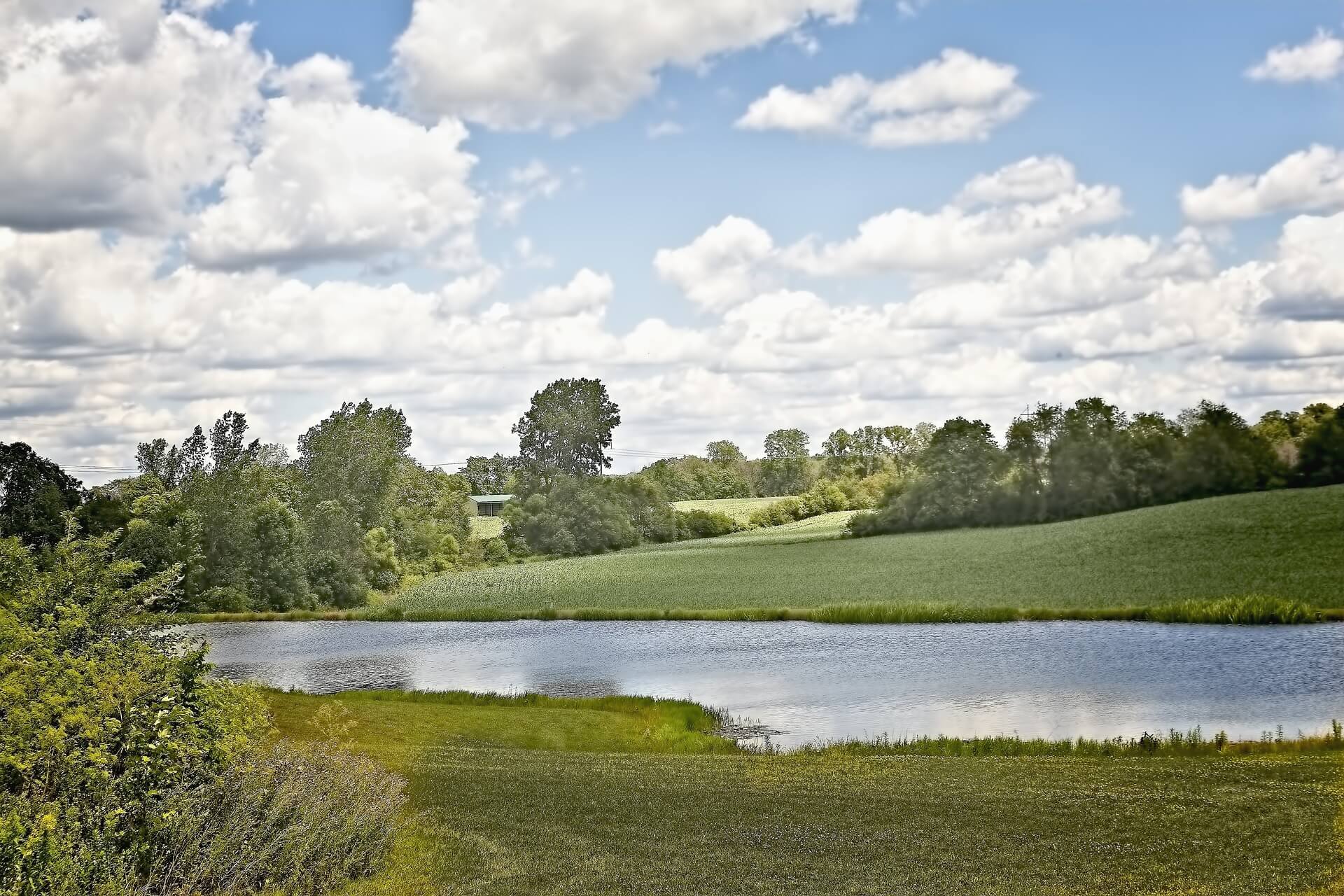 Your Homesite